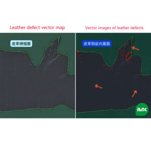 Automatic Leather Defect Recognition