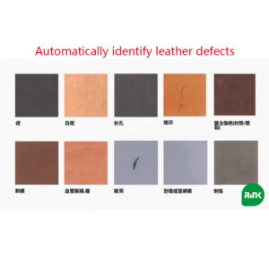Intelligent Leather Scanner